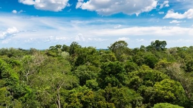 How brands can turn Brazil biodieversity legislation to their advantage