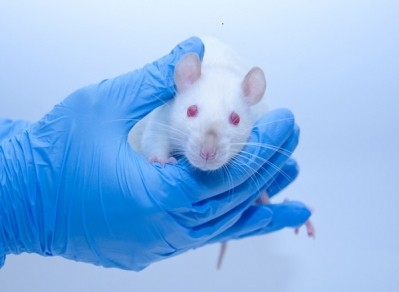Nevada makes bold move to ban cosmetics animal testing