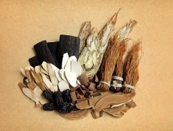 Trend Watch: Cosmetic and personal care ingredients borrowed from Traditional Chinese Medicine