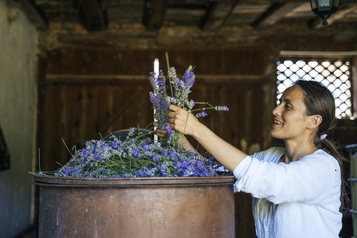 lavender_essentialoil_fragrance_scent_ingredient_plant_sourcing_production_processing_worker_rights_business