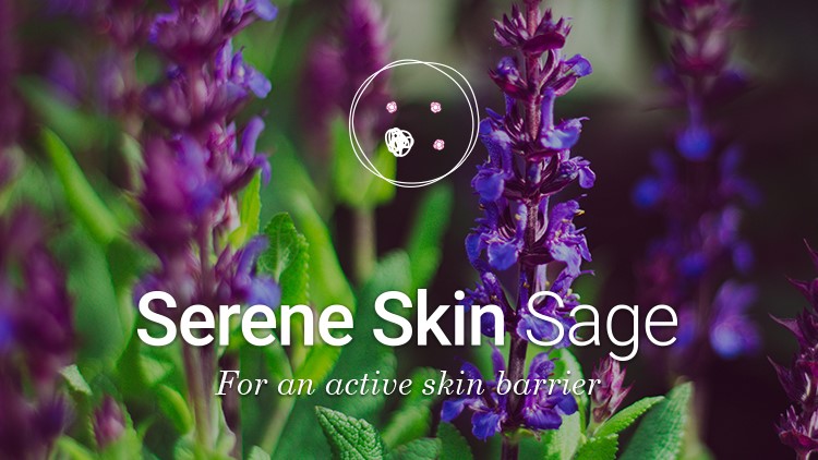 Full activation of the skin barrier with Sage active cells