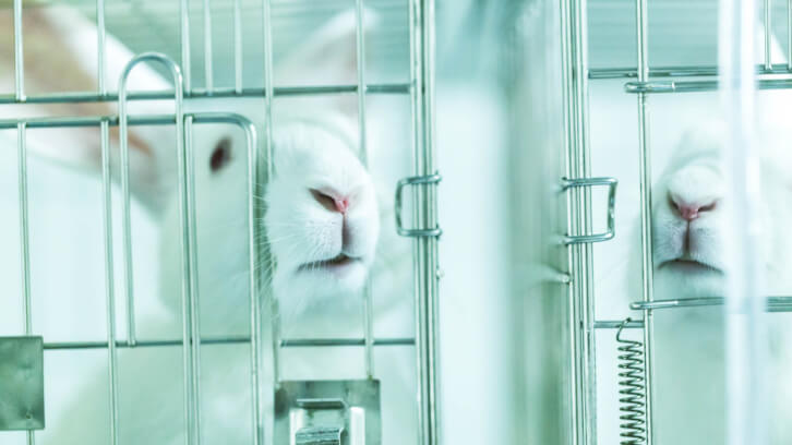 PCPC lends its support to the Humane Cosmetics Act